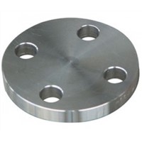 stainless steel  forged blind flange