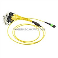 Fiber Optic Patch Cord MPO-FC 12 Core Fibers Singlemode