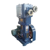 2WLW-B/F/T Oil-Free Vertical Anticorrosion Vacuum Pump