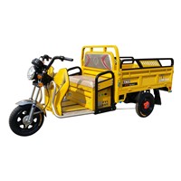 500W-1000W Electric Cargo Tricycle / Low Price Cargo Loader