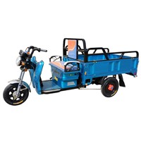 500W, 650W, 800W, 1000W Powered Electric 3 Wheel Tricycle Cargo Loader