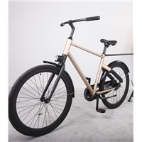 Hot Sale 28'' Aluminum Bicycle with Rear Coaster Brake (BE-001)