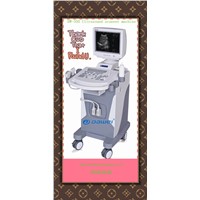 Hot ! Ultrasound scanner price with DW-350 trolley ultrasonic diagnostic system machine