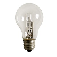 A55 Halogen    Incandescent Bulb