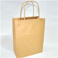 cheap price plain kraft paper bags with twisted paper handle