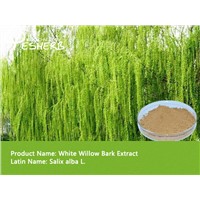hot selling & special offer White Willow Bark Extract