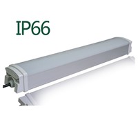 LED Tri-Proof Light IP66 iCobweb Lighting 20W 30W 40W 60W 120Lm/W 5 years warranty