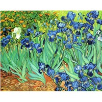 Flower paintings  Vincent Van Gogh paintings handpainted art paintings