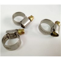 Worm drive hose clamps  stainless steel material