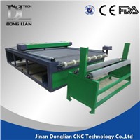 DL1610 automatic feeding fabric laser cutting machine with cheap price
