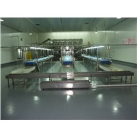 Juice Cystic Production Line