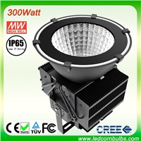 Fin-Style 300W LED High Bay Light     UL approval Mean Well driver    3years warranty