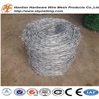 Electro and Hot Dipped Hot Dipped Barbe Wire (Specialized Manufacturer)