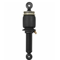 OEM Car Shock Absorber 504060233 For Iveco