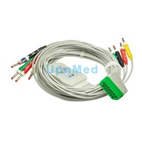 BJ-900P Nihon Kohden 10-lead EKG cable with leadwires