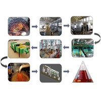 palm kernel oil refinery plant | palm oil refining machine