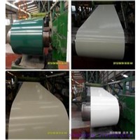 Prime prepainted aluzinc coils from China supplier for construction materials