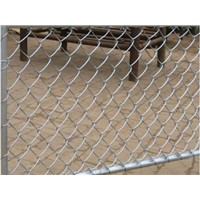 Chain Link Mesh Fence/Hot-Dipped Galvanized+PVC Coated Chain Link Mesh Fence