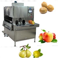 Multi-function Fruit Peeler Machine