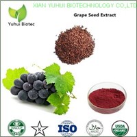 grape seed extract polyphenols,grape seed extract 95%,grape seeds extract proanthocyanidin