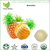pineapple enzyme bromelain,bromelain extract,pineapple extract supplier