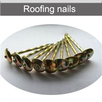 Color zinc roofing nails