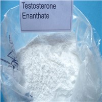 Primoteston Depot Gear Steroids Enanject Cas: 315-37-7 Testosterone Enanthate