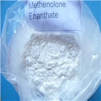 Muscle Gain Primobolan Steroid Methenolone Enanthate for Men Sexual Function without Side Effects
