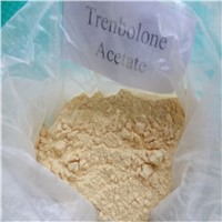99% Revalor-H Trenbolone Steroid Trenbolone Acetate Cas 10161-34-9 for Muscle Growth & Appetite