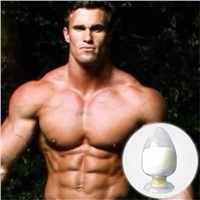 High Quality and Purity Bodybuilding Steroid Testosterone Base CAS: 58-22-0