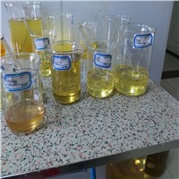 Injectable Steroid Pre-Mixed Oil Nandro Test Depot 450 450mg/Ml