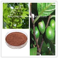pygeum africanum bark extract powder,pygeum africanum bark extract,pygeum bark p.e.