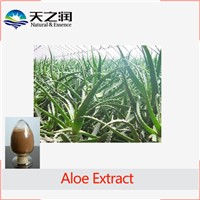 100% Natural herbal extract Aloe Vera Extract,Aloe Vera Extract Plant,Aloe Extract Powder