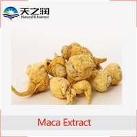 High quality maca extract 20:1 10:1 4:1
