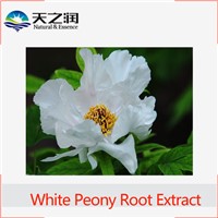 high quality White Peony Root P.E./White Peony Root Extract