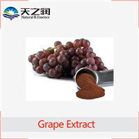 100% Natural Grape Skin Extract,grape skin extract powder