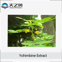 GMP Factory Supply 98% Natural Yohimbine Extract