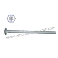 Bolt Carriage Bolt with Mushroom Head and Square Neck A307/ Gr.2/ Gr.5