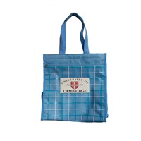 promotion  gift bag /shopping bag/foldable shopping bag