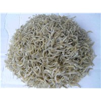 DRIED SMALL ANCHOVY (SPRATS) ( Angela - WhatsApp / Viber / HP: +84- 165 582 7745)
