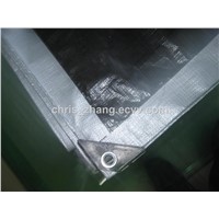 50gsm-300gsm Korea PE Tarpaulin with UV Treated for Car /Truck / Boat Cover