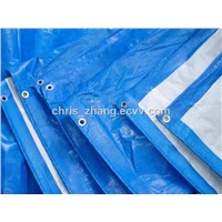 Hot Sale Woven Fabric Truck Cover Sheet Virgin China PE Tarpaulin Price
