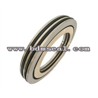 PZB magnetic sealed bearing protector