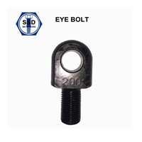 Eye Bolts E-Coat Black Full Thread Custom Design SD-TXP1148-200