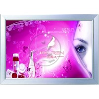 Cosmetic and Makeup Advertising LED Display Frame