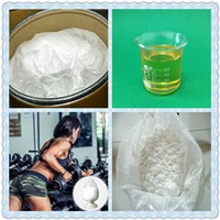 CAS No: 1255-49-8 High Quality Anabolic Steroid 99% Testosterone Phenylpropionate