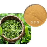 Organic green tea extract
