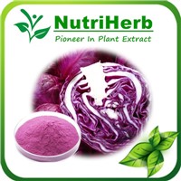 Natural Extract Red Cabbage Color