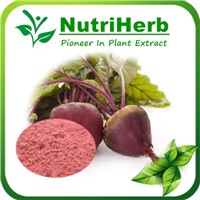 Natural Organic Red Beet Root Powder