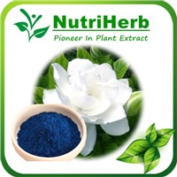 Natural Pigment Gardenia blue